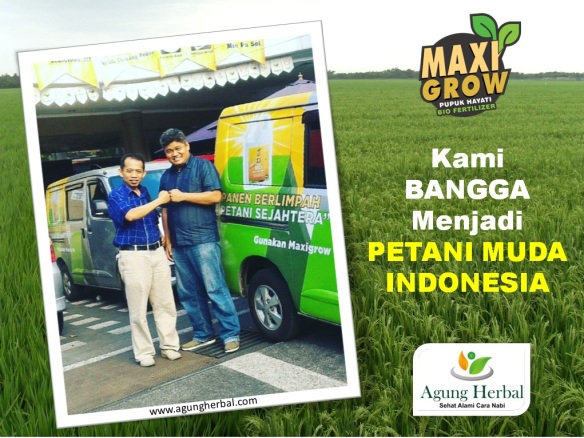 petani muda indonesia